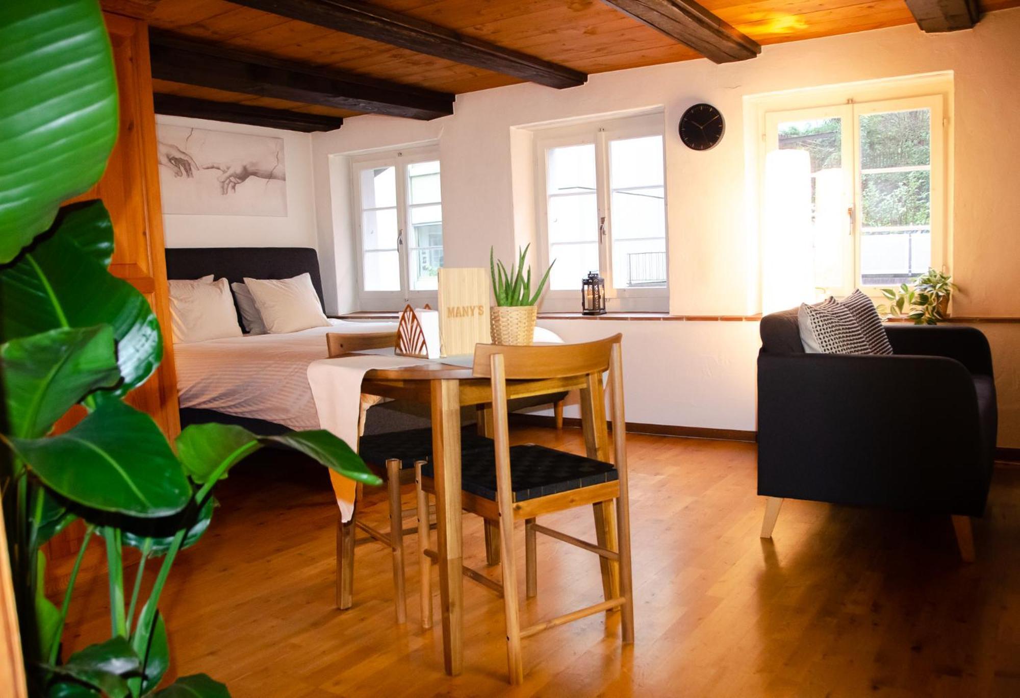 Many'S Historical City Central Apartments Zurich Luaran gambar